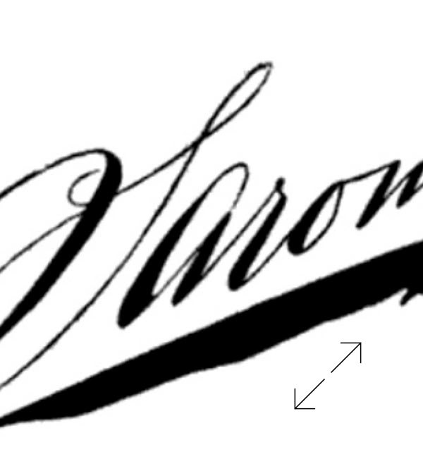 Napoleon Sarony Signature
