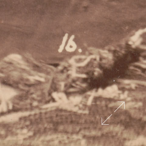 Oscar Wilde 1882 numbers
