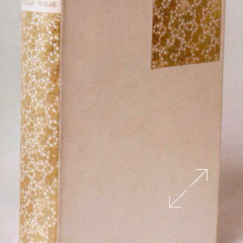 Oscar Wilde Poems 1881